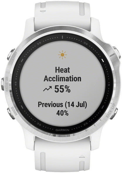 Garmin Fenix 6S GPS Watch