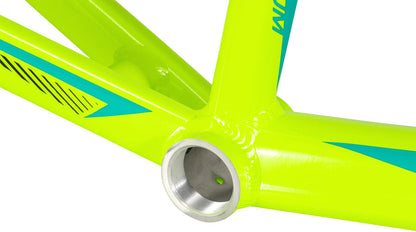 Radio Helium BMX Race Frame