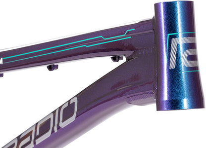 Radio Helium BMX Race Frame