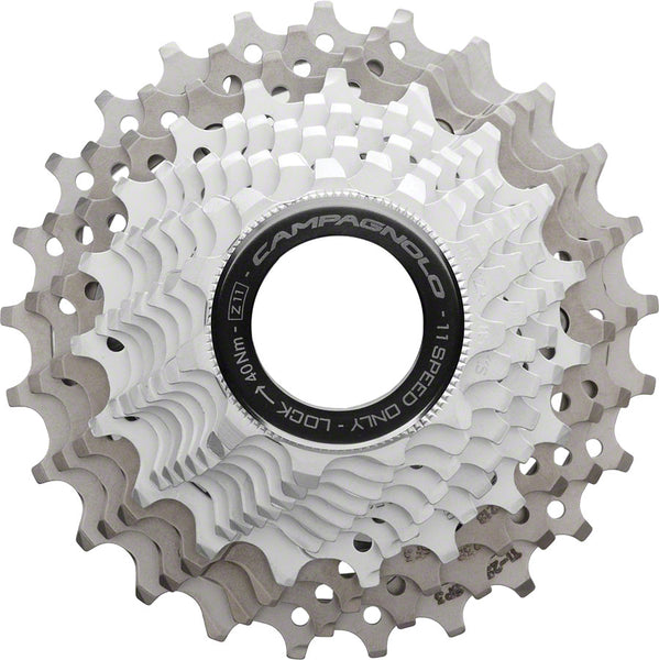 FW9944_grande.jpg?v=1685550752