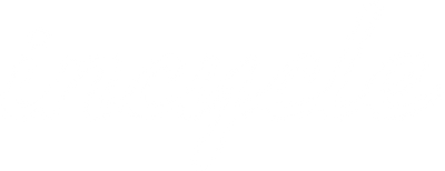 Hope Tech 4 E4 Disc Brake & Lever Set