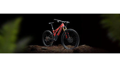 Specialized Stumpjumper Sw
