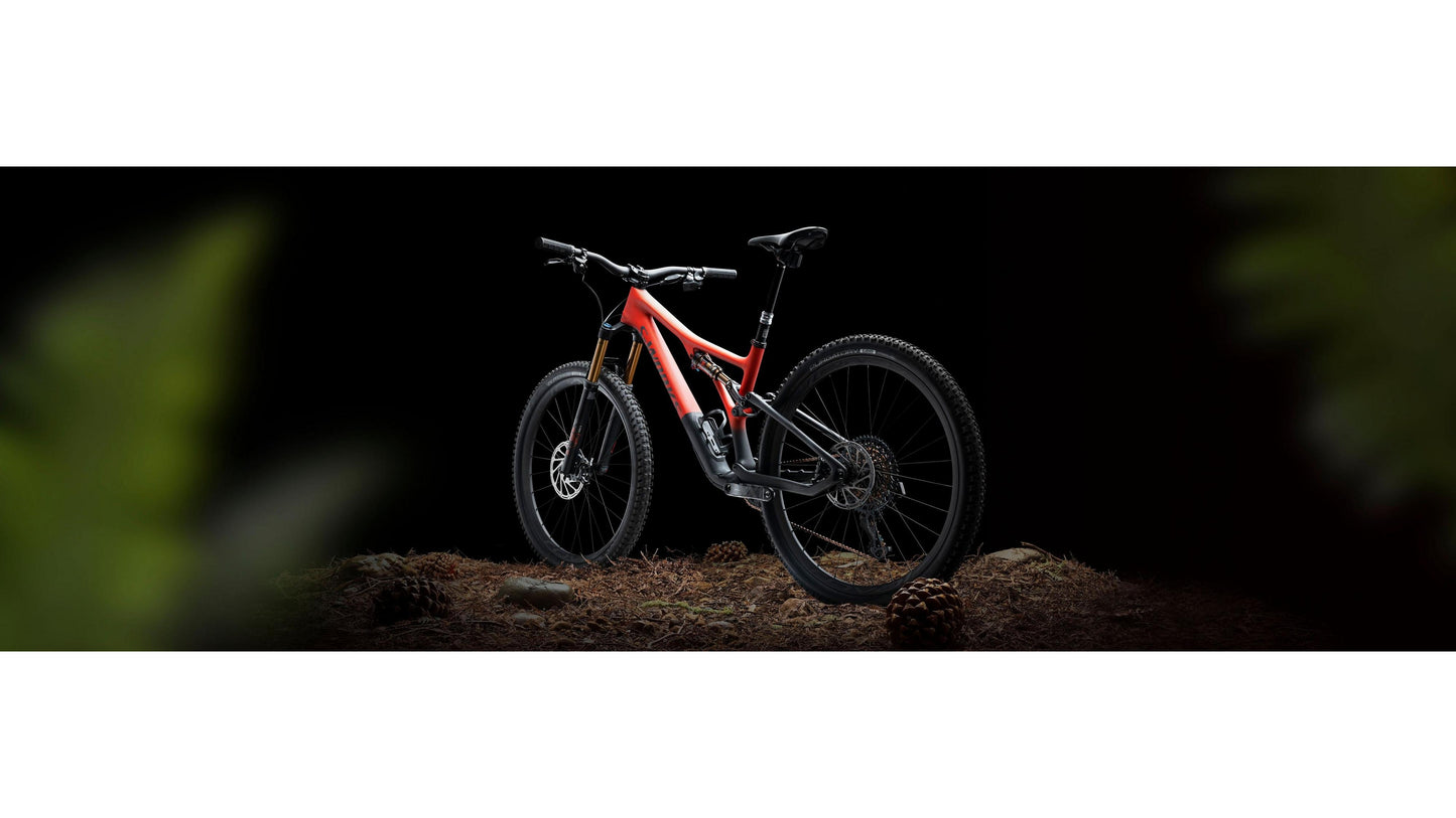 Specialized Stumpjumper Sw