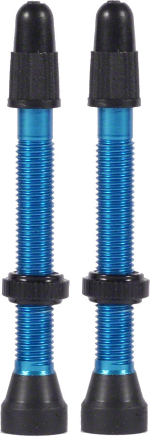 WTB TCS Presta Valve