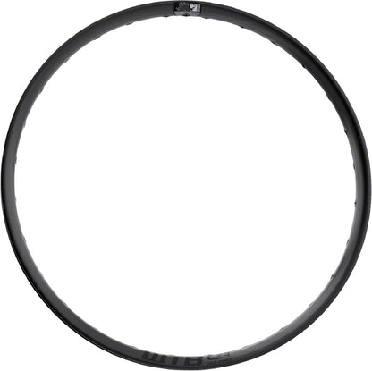 WTB CZR Rim