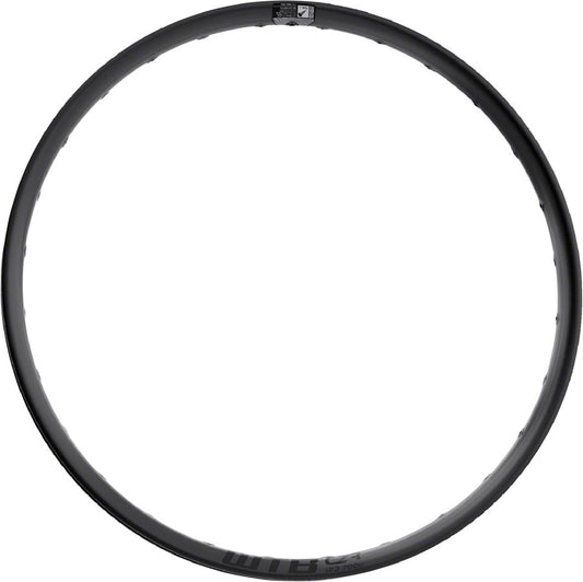 WTB CZR Rim