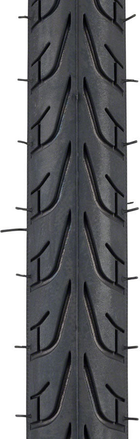 Vittoria Randonneur Classic Tire