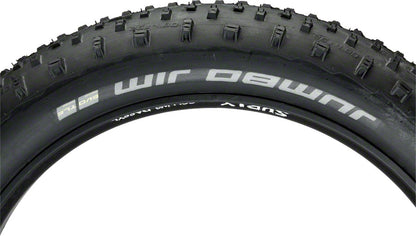 Schwalbe Jumbo Jim Tire