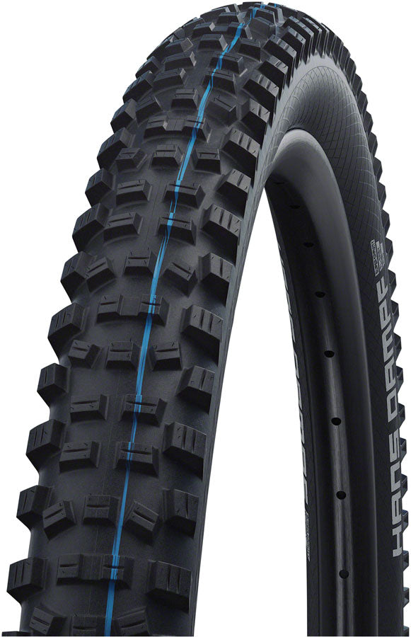 Schwalbe Hans Dampf Tire – Incycle Bicycles