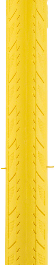 Saris Trainer Tire