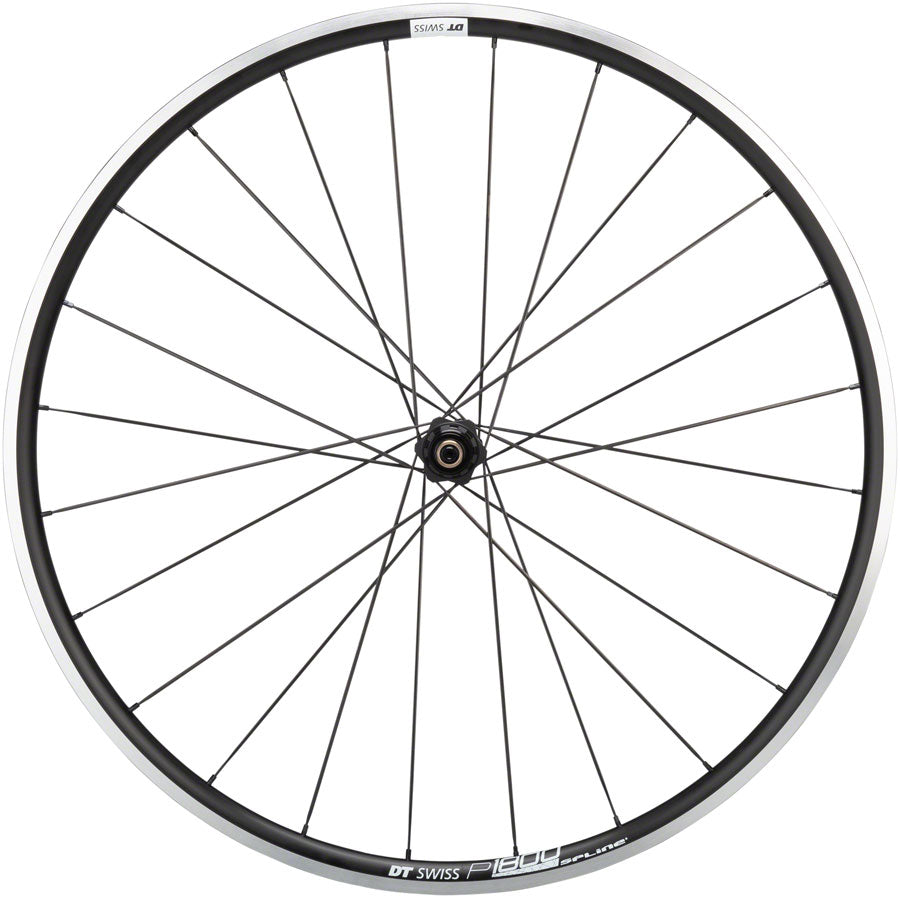 DT Swiss P1800 Spline Rear Wheel – Incycle Bicycles