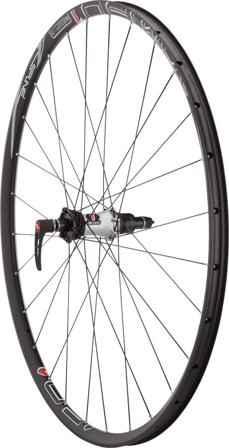 DT Swiss XM 1501 Spline One