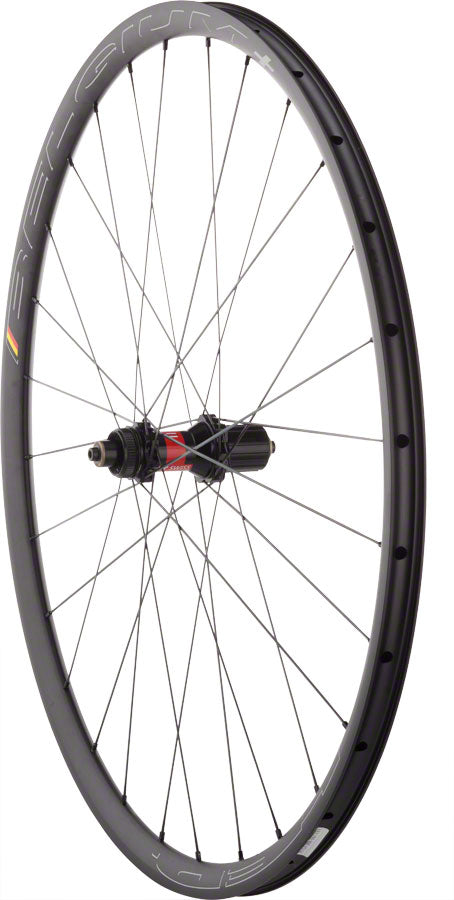 Quality Wheels DT 240 / Belgium+ Rear Wheel