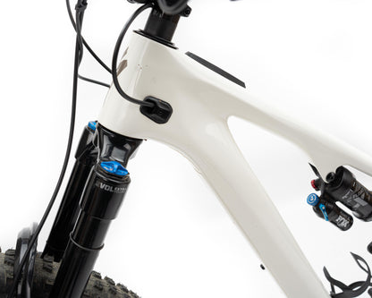 [D&R] Specialized 2024 Levo SL Expert Carbon - Brch/Tpe S3