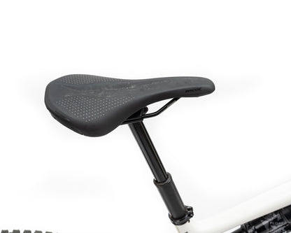 [D&R] Specialized 2024 Levo SL Expert Carbon - Brch/Tpe S3