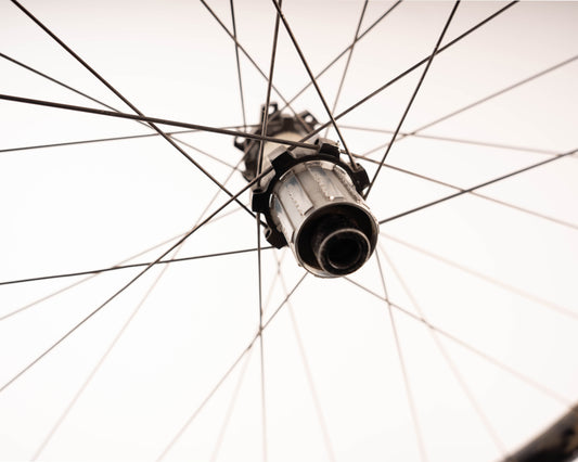 Roval Traverse Fattie 650b Rear Wheel