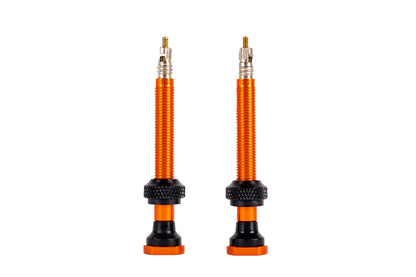 Incycle Tubeless Valve