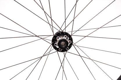 Roval Traverse 29" Disc Alloy Front Wheel 15x110