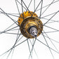 Throne Wheel w/ TRKLRD Gold Hub