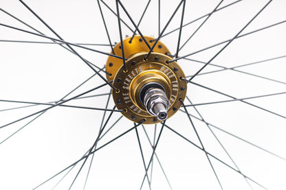 Throne Wheel w/ TRKLRD Gold Hub