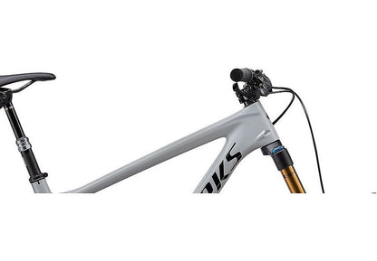 Enduro S-Works Carbon 29