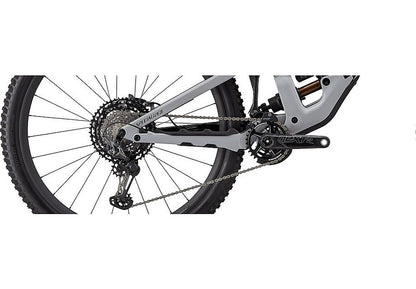 Enduro S-Works Carbon 29