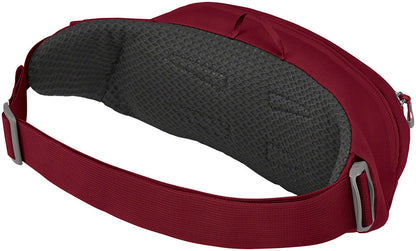 Osprey Daylite Waist Pack
