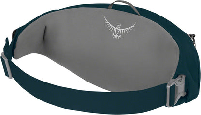 Osprey Daylite Waist Pack