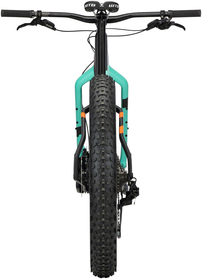 Salsa Beargrease Carbon GX Eagle Fat Bike - Black