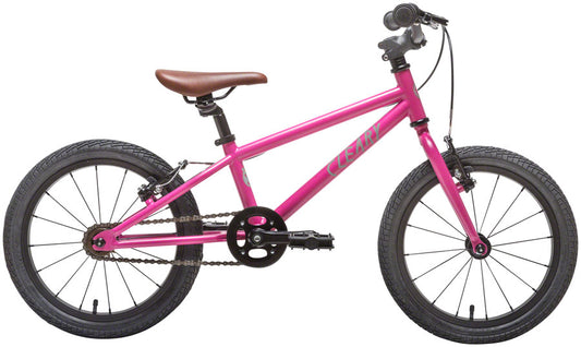 Cleary Bikes Hedgehog