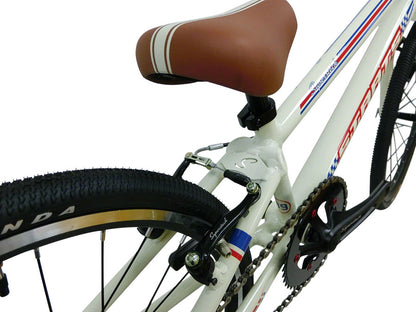 Staats Superstock Complete BMX Race Bike