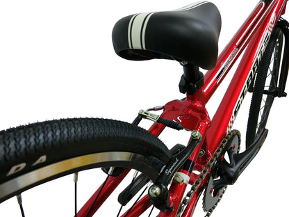 Staats Superstock Complete BMX Race Bike