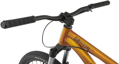 Radio Griffin Pro Dirt Jump Bike