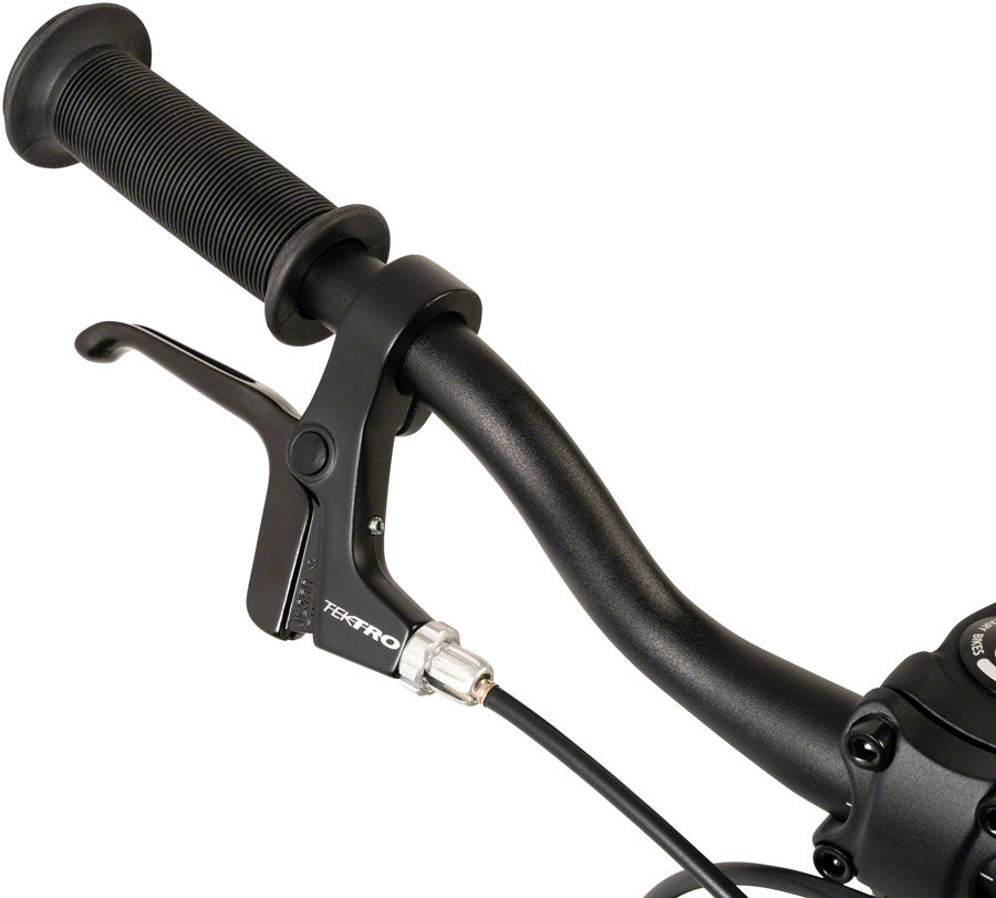 Cleary Bikes Hedgehog