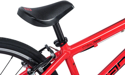 Radio Cobalt BMX Race Bike