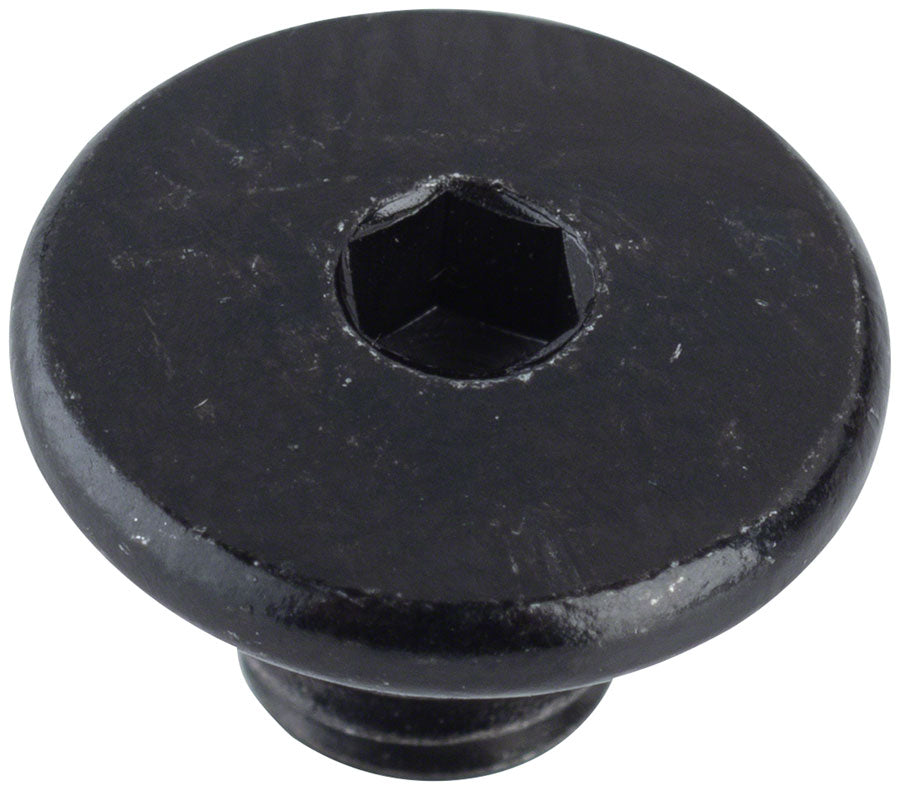 Shimano BL-M666 Bleed Screw & O-Ring