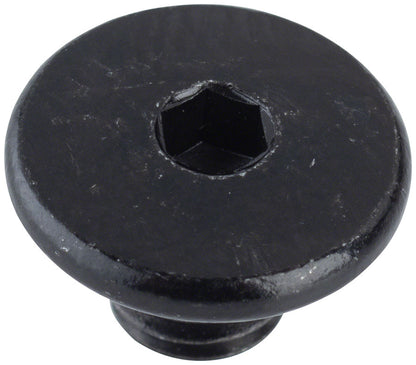 Shimano BL-M666 Bleed Screw & O-Ring