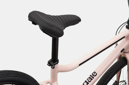 Cannondale Treadwell 2