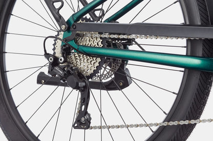 Cannondale Adventure Neo 1 EQ