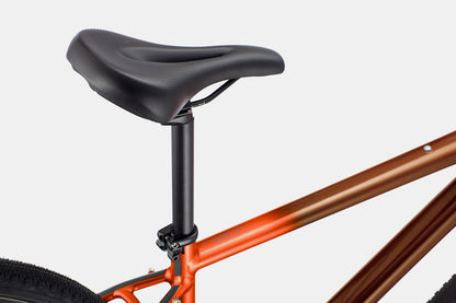 Cannondale Quick CX 2