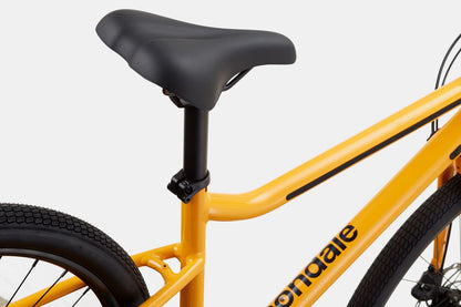 Cannondale Treadwell 2