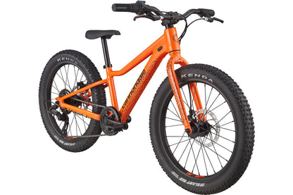 Cannondale Trail Plus 20