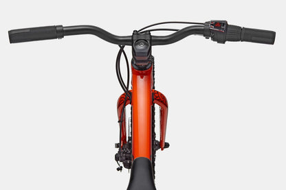 Cannondale Trail Plus 20