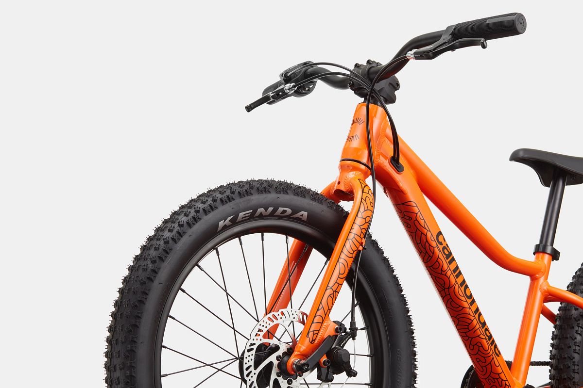 Cannondale Trail Plus 20