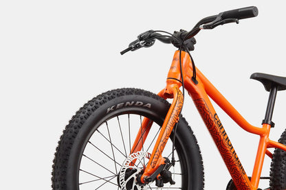 Cannondale Trail Plus 20