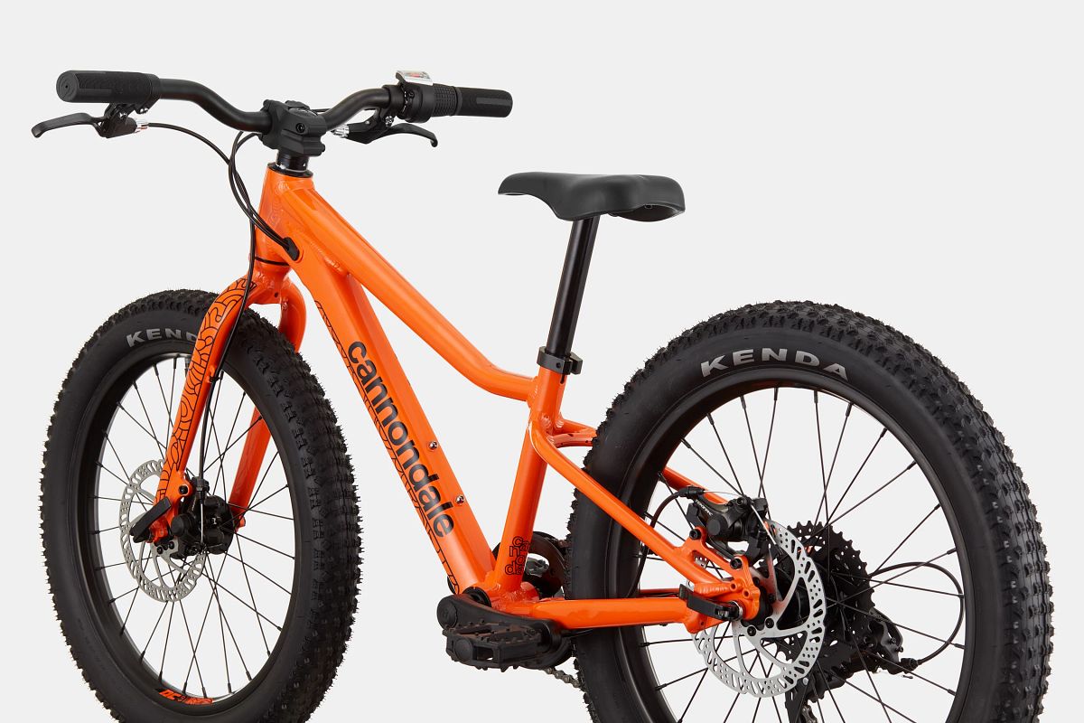 Cannondale Trail Plus 20