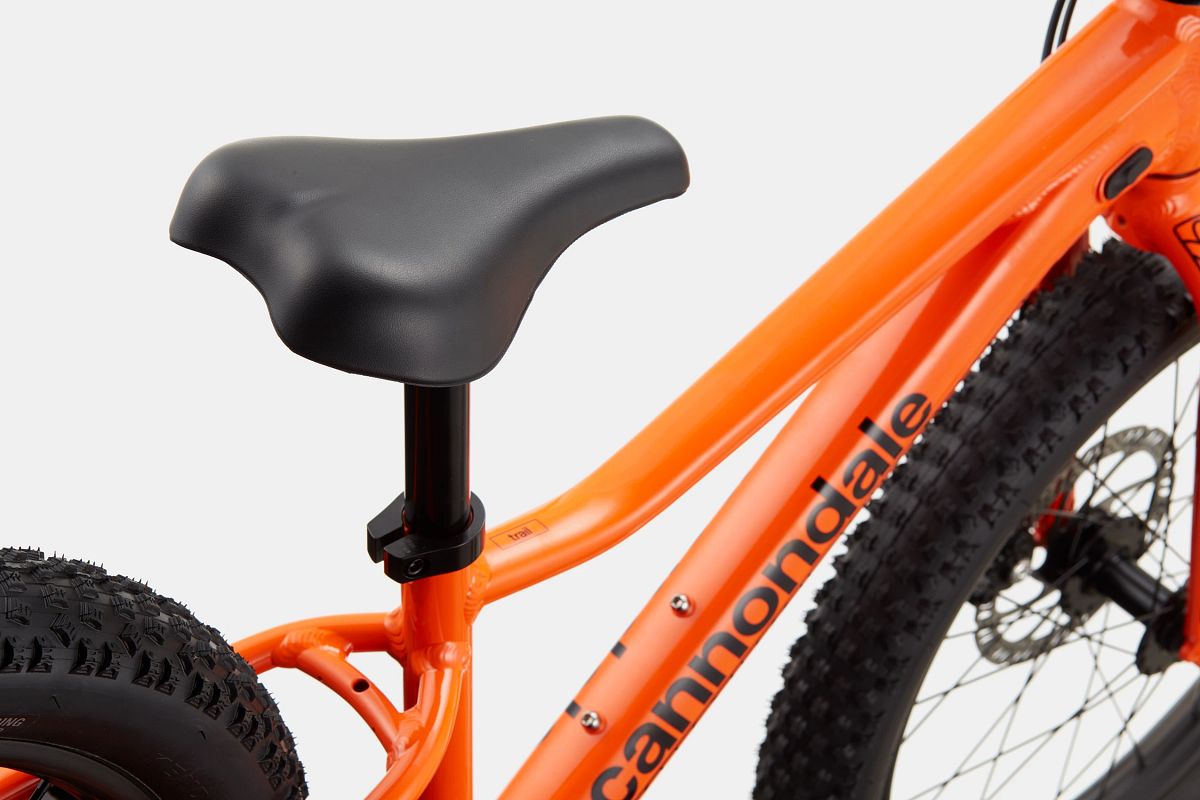 Cannondale Trail Plus 20