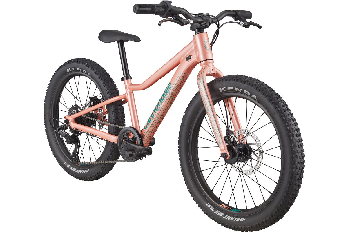Cannondale Trail Plus 20