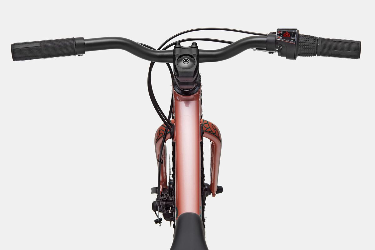 Cannondale Trail Plus 20