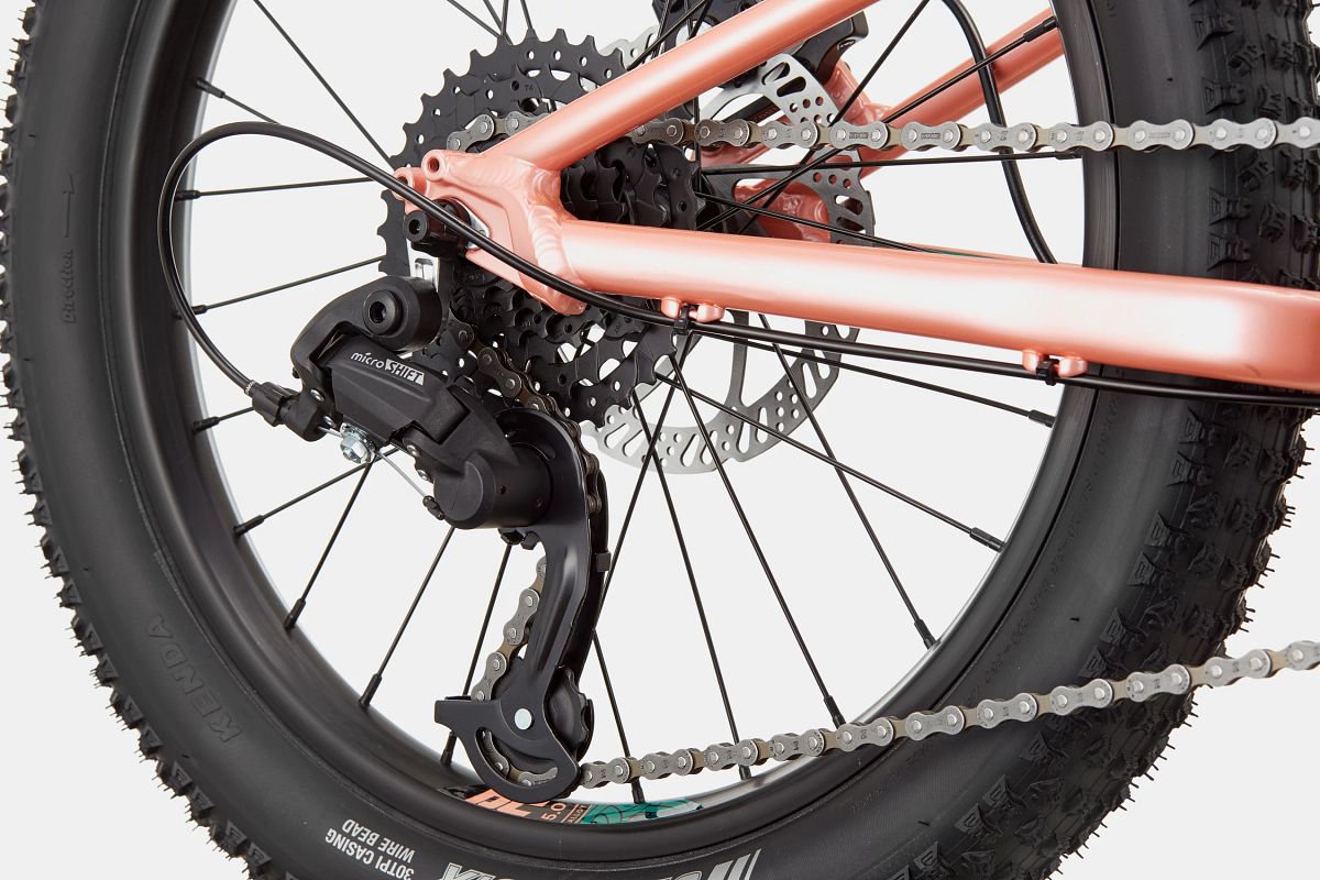 Cannondale Trail Plus 20